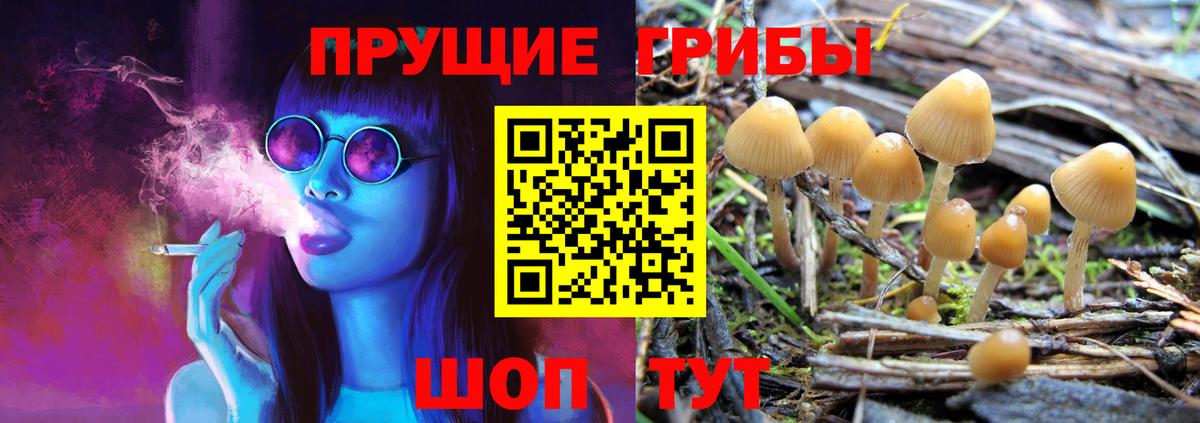 Галлюциногенные грибы Psilocybe Мелеуз